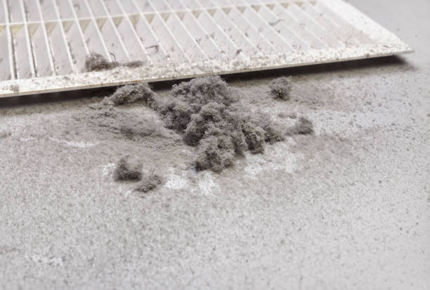 Best Emergency Air Duct Cleaning  in Spring Grove, IL