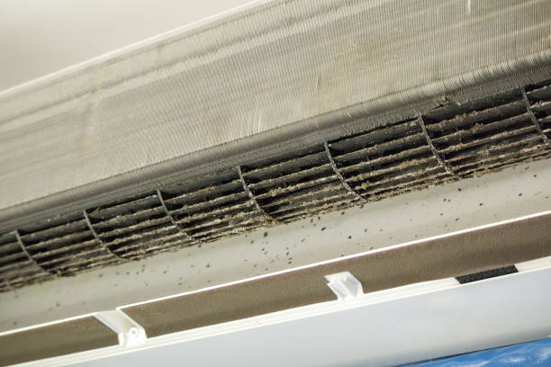 Best HVAC Air Duct Cleaning  in Spring Grove, IL