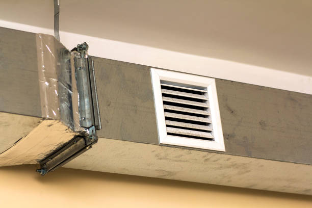 Best Air Duct Cleaning Near Me  in Spring Grove, IL